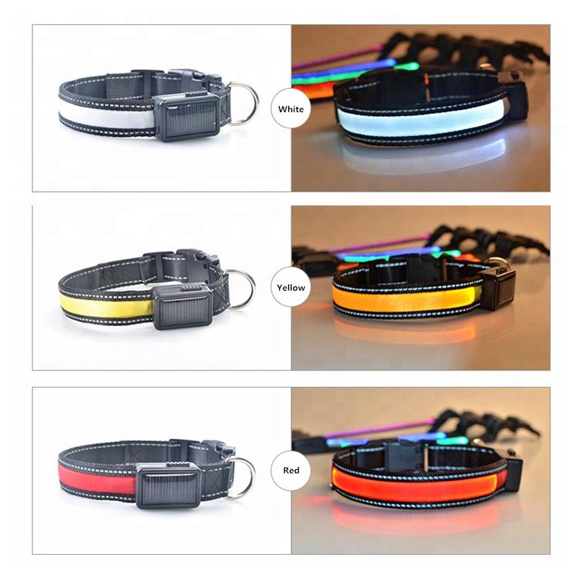 USB and Solar Charge Reflective Led Dog Collar